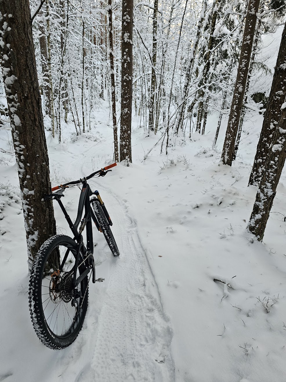 snow biking